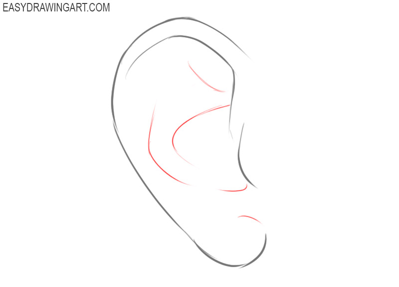 How to draw an ear step by step