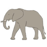 How to Draw an Elephant
