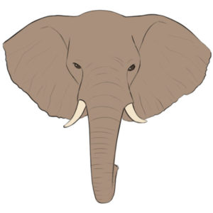 How to draw an elephant head