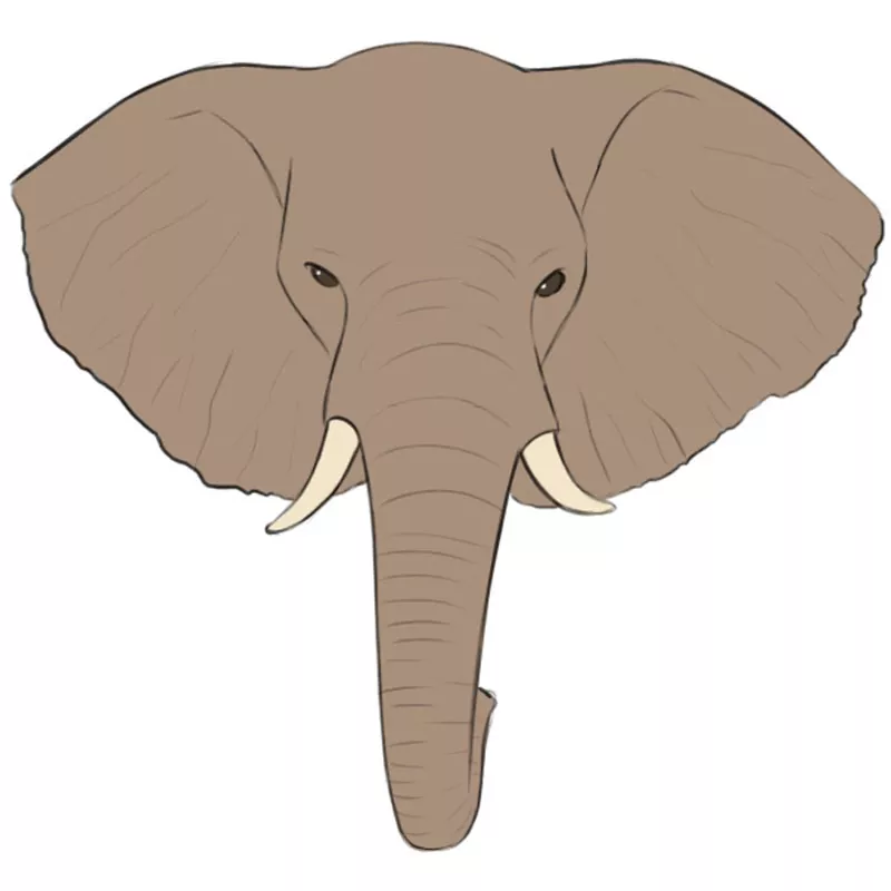 How To Draw An Elephant Art For Kids / Elephants aren't always easy to