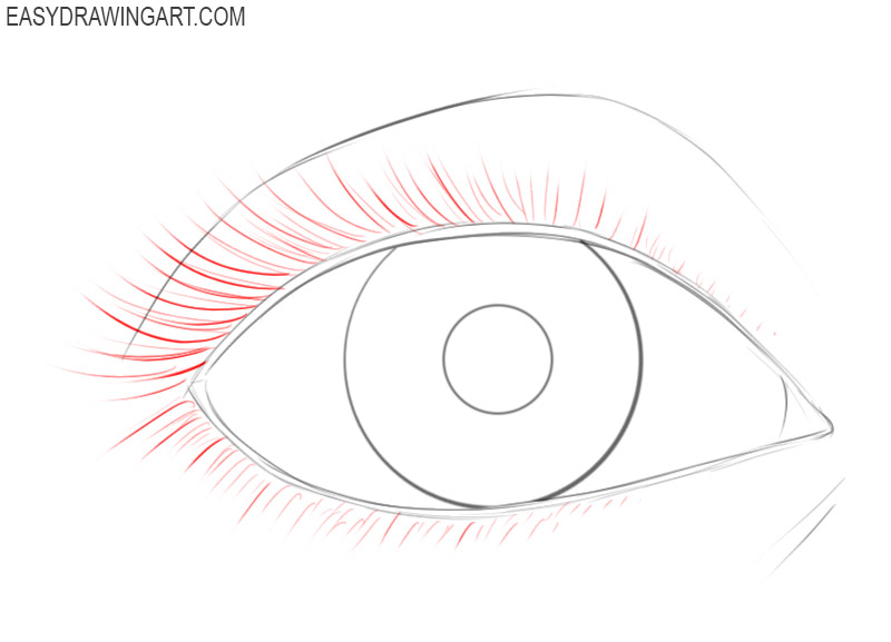 How to draw an eye for beginners