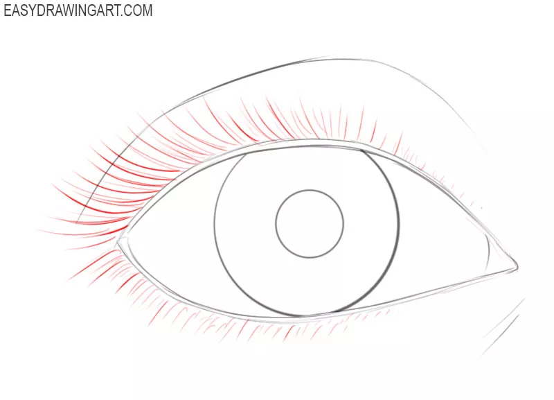How to draw an eye for beginners