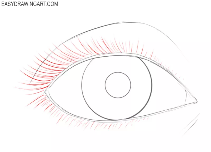 How to Draw an Eye Step by Step