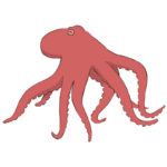 How to Draw an Octopus