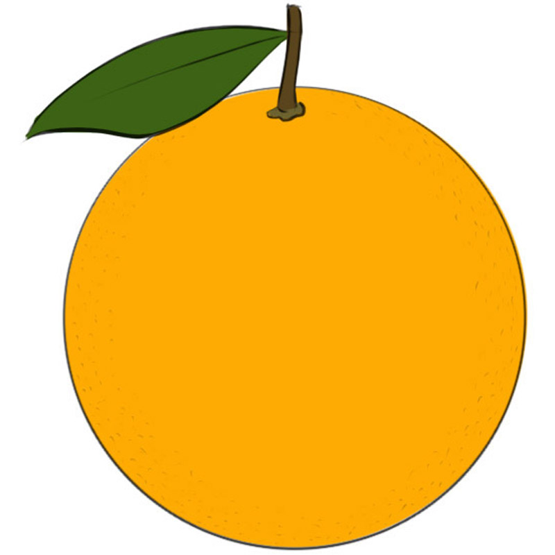 Easy Steps to Draw an Orange