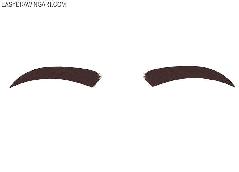 How to Draw an Eyebrow - Easy Drawing Art