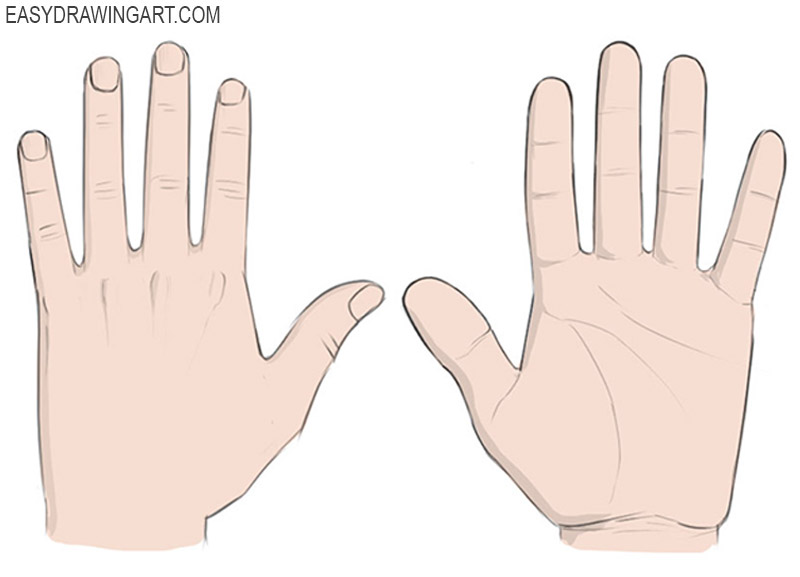 How to Draw Hands Easy Drawing Art