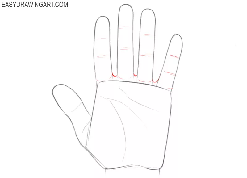 How to draw hands for beginners