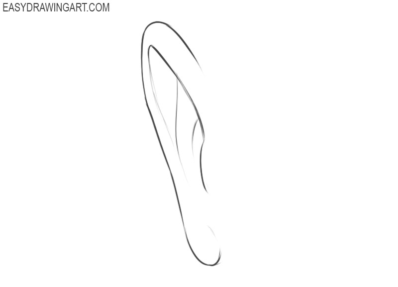 How to draw human ears