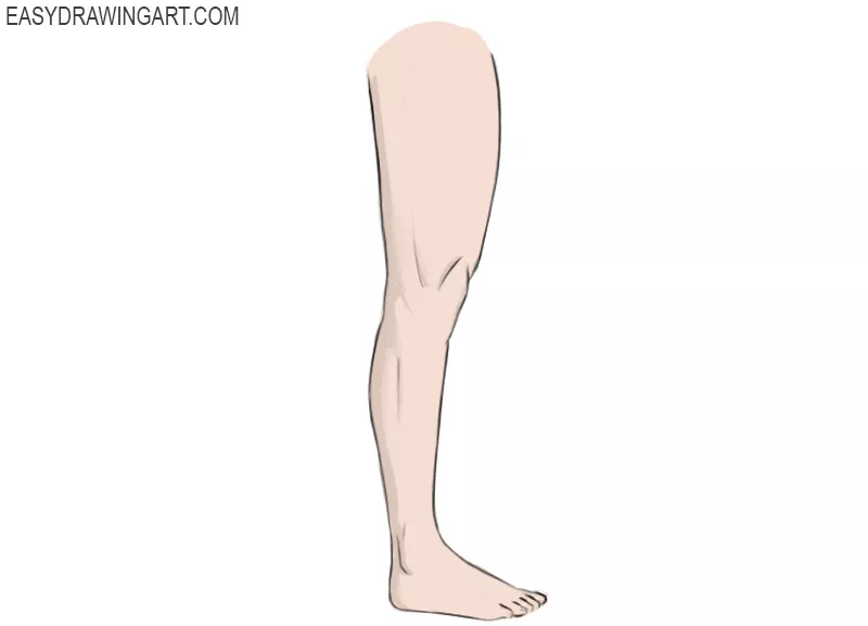 human leg sketch