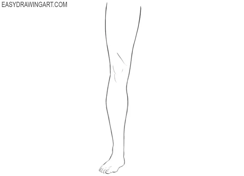 Leg drawing
