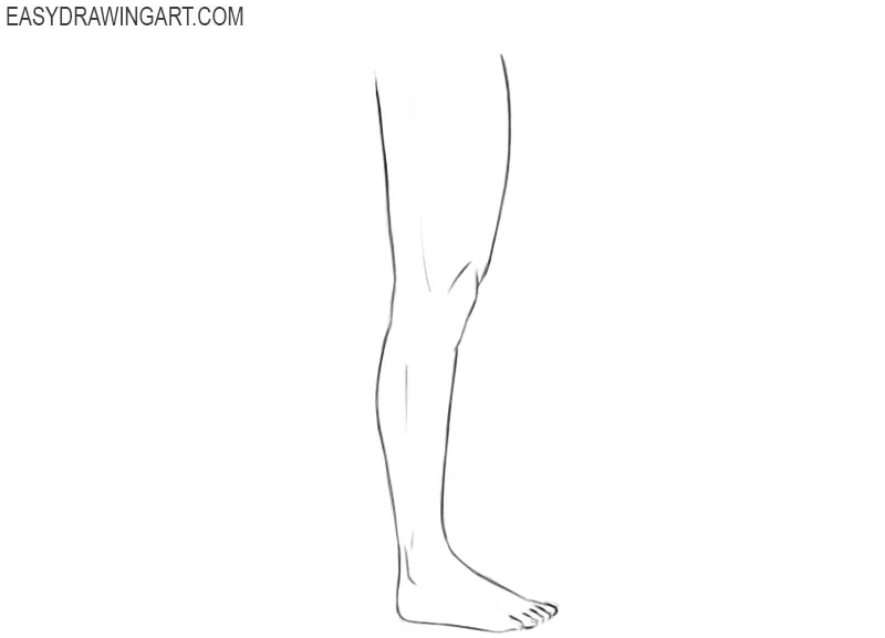 Legs drawing