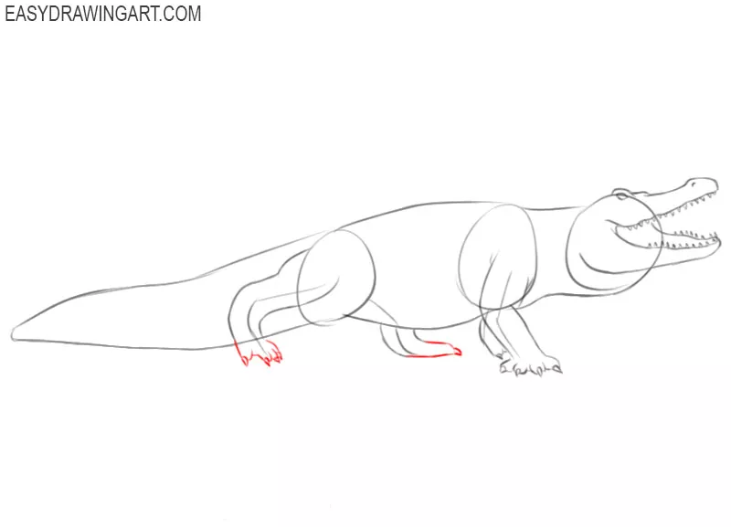 alligator drawing cute 