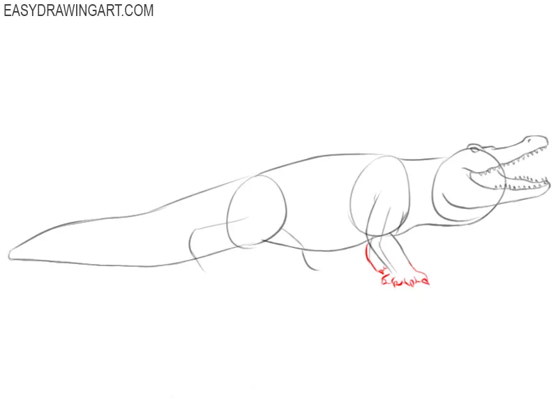alligator drawing simple