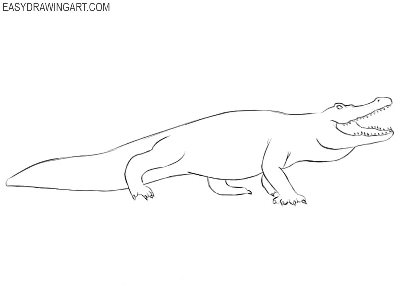 alligator drawing tutorial