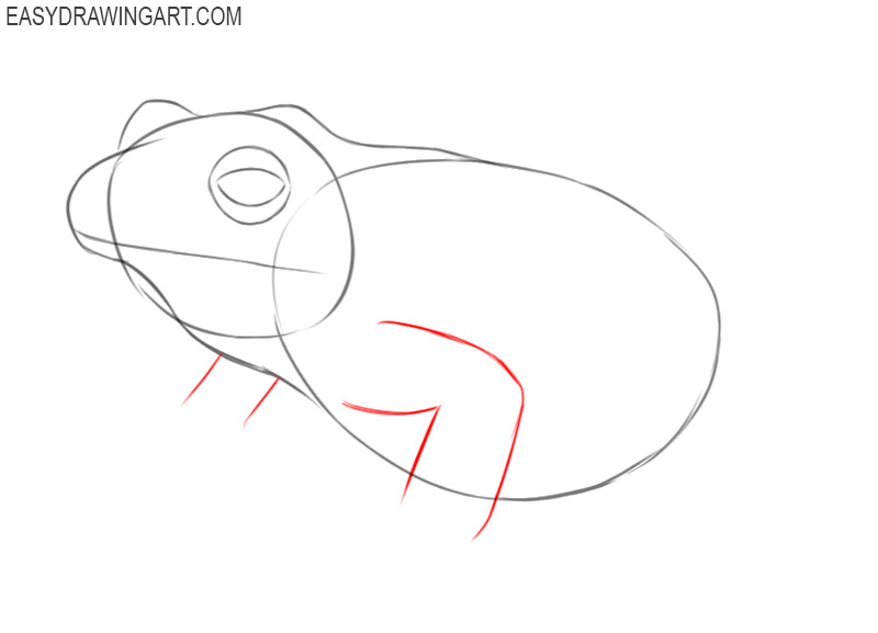 Premium Vector | Frog sketch realistic ink drawing of amphibian wild animal  hand drawn vector illustration retro clipart for decor isolated on white