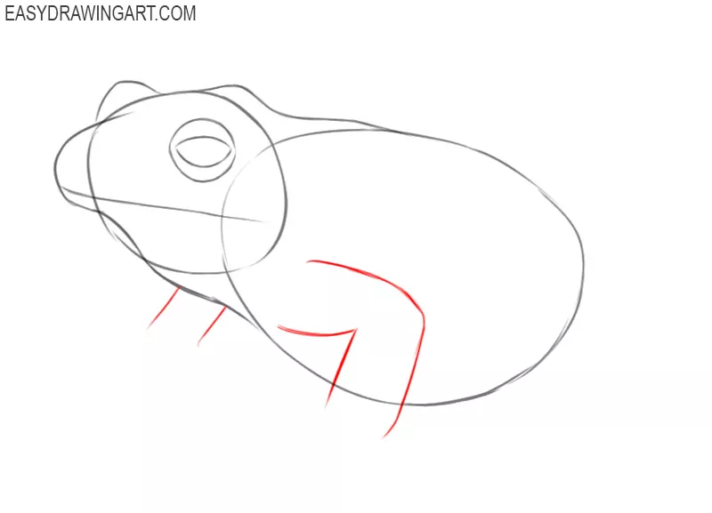 an easy way to draw a frog