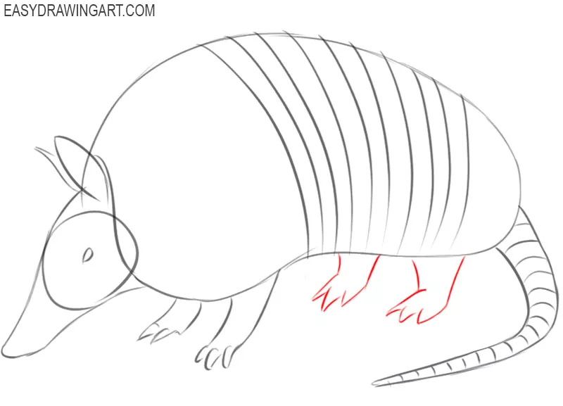 how to draw a cartoon armadillo