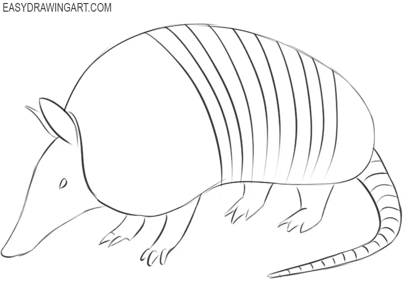 how to draw a cartoon armadillo