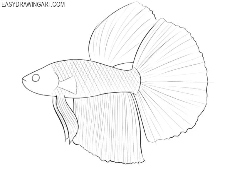 How To Draw A Fish: Easy Step-By-Step Tutorial For Kids