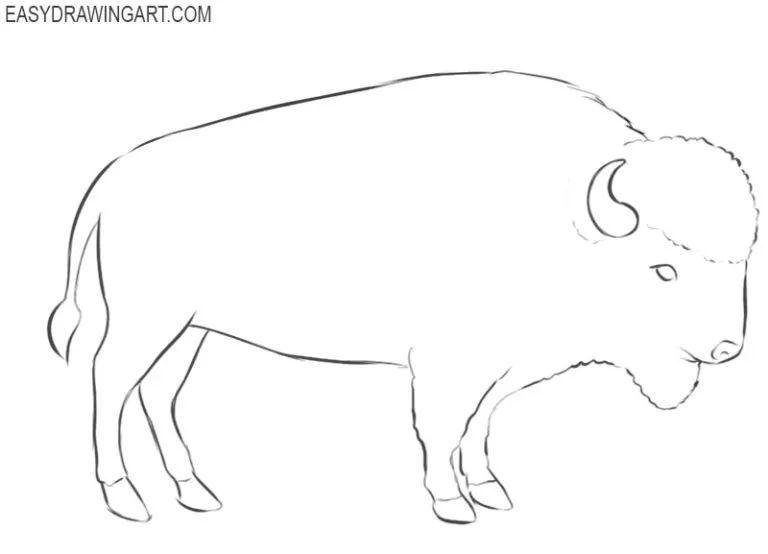 How to Draw a Buffalo Easy Drawing Art