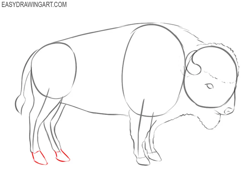 buffalo drawing picture