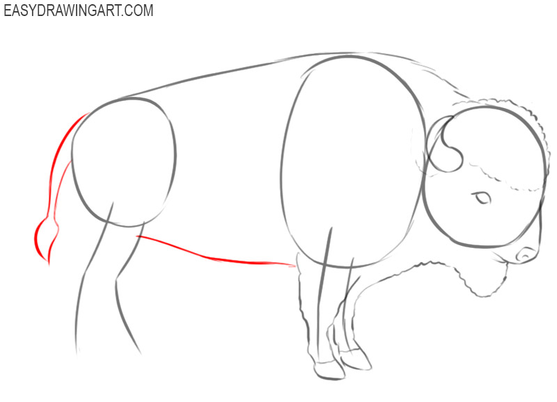 buffalo drawing simple 