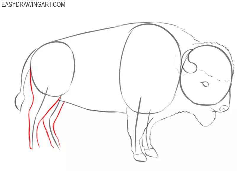 buffalo drawings outlines 