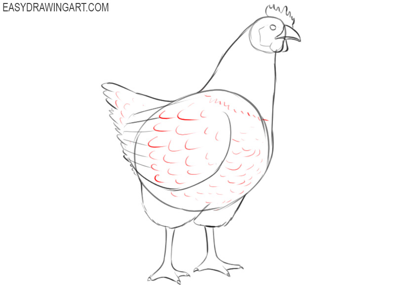 Simple Chicken Drawing Vector Images over 3600