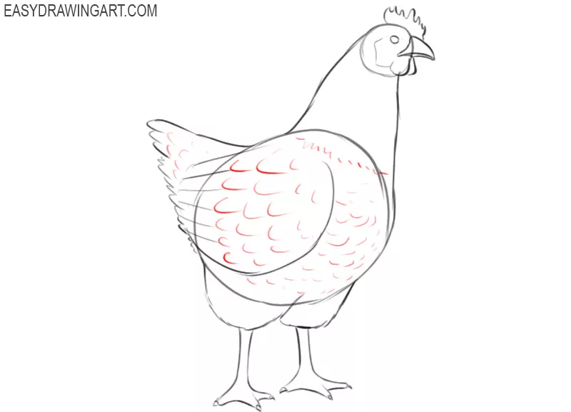 chicken drawing simple