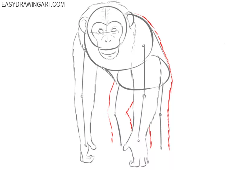 chimpanzee drawing easy