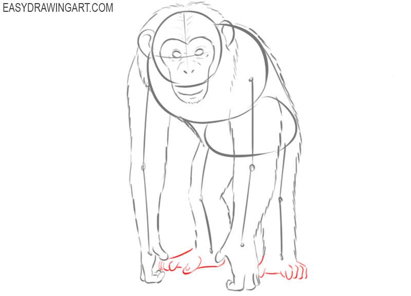 12x12 Original monkey Drawing - Etsy