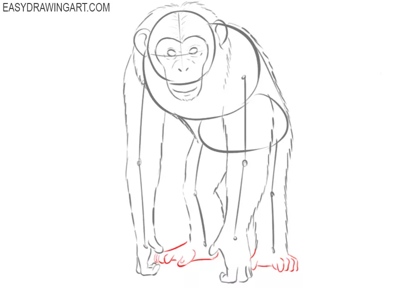 chimpanzee drawings images