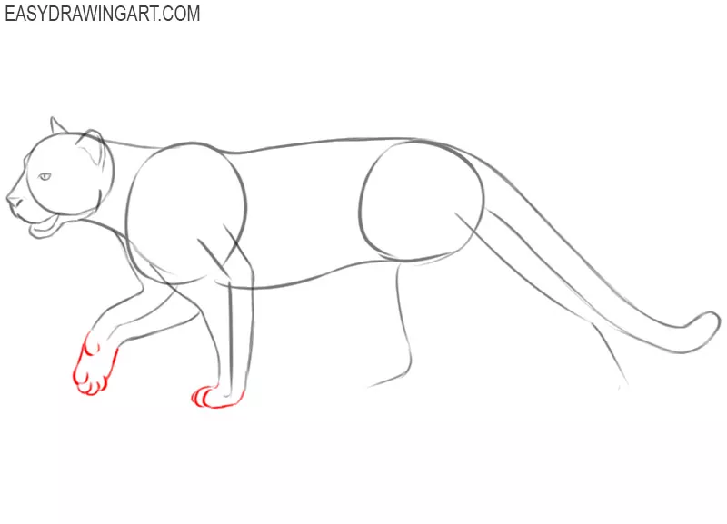 cougar drawing simple