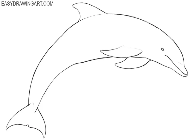 Step To Step Draw A Dolphin. Good For Drawing Child Kid Illustration.  Vector Illustration Royalty Free SVG, Cliparts, Vectors, and Stock  Illustration. Image 164468407.