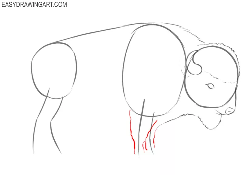 easy way to draw a buffalo 