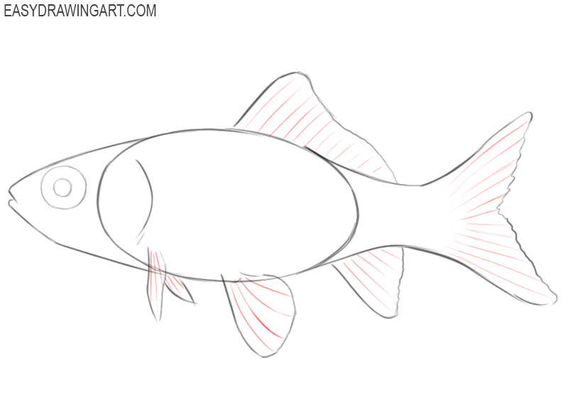 easy way to draw a goldfish