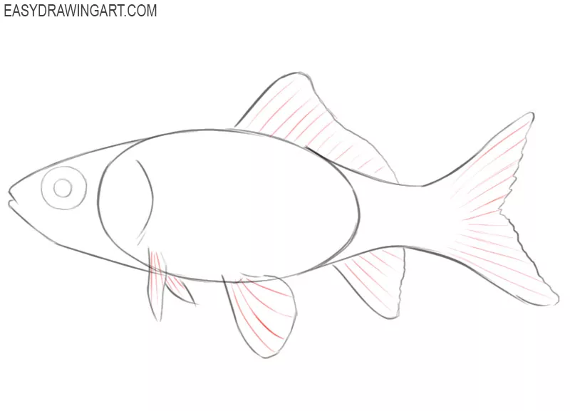 How to Draw a Goldfish - Step-by-Step Pet Fish Sketch