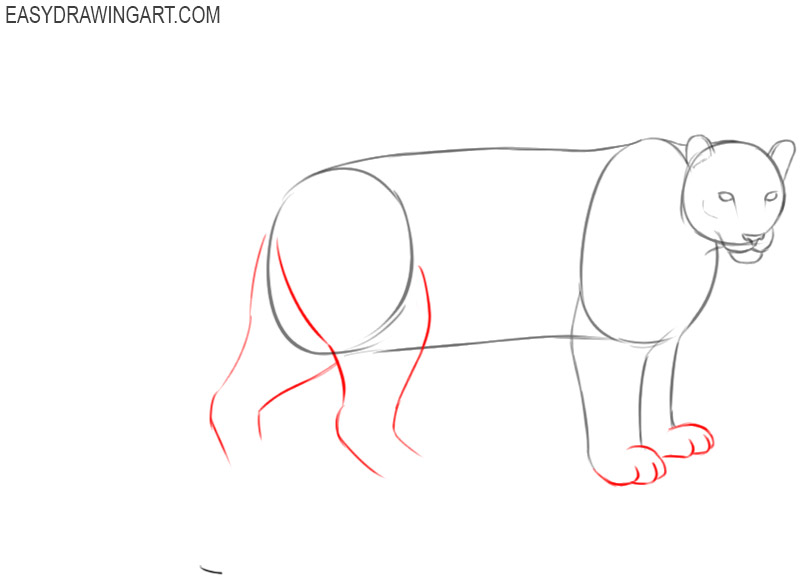 easy way to draw a snow leopard