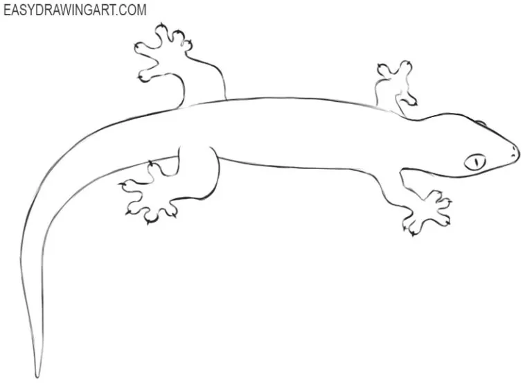 How to Draw a Gecko Easy Drawing Art