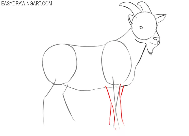 goat drawing easy
