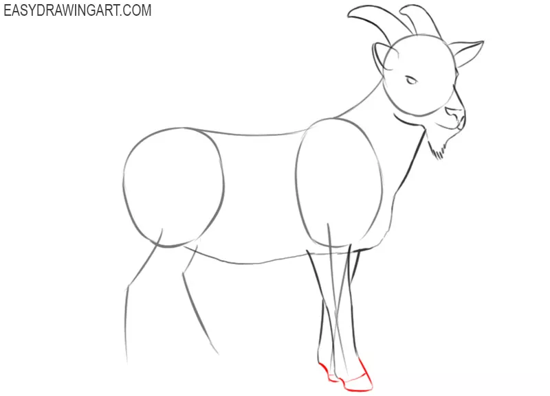 Goat Drawing Tutorial - How to draw a Goat step by step