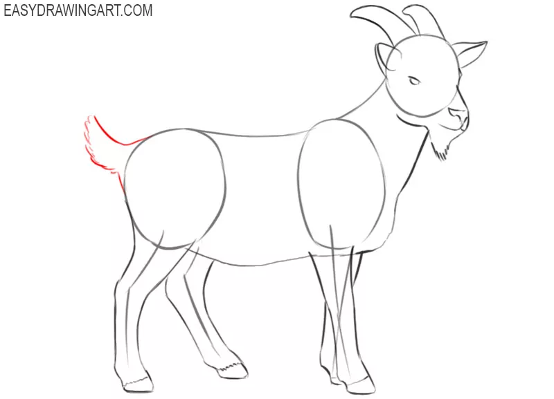 goat drawing step by step