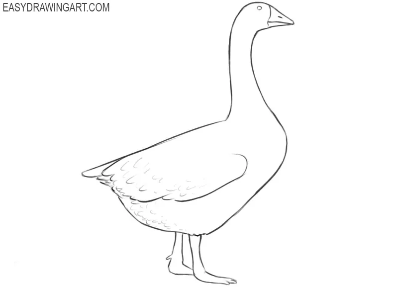 goose drawing cartoon
