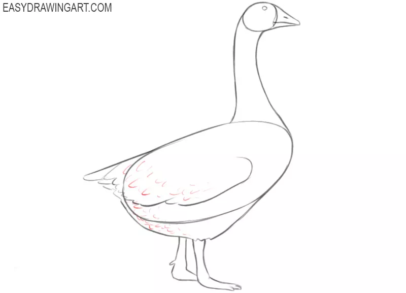 goose drawing images