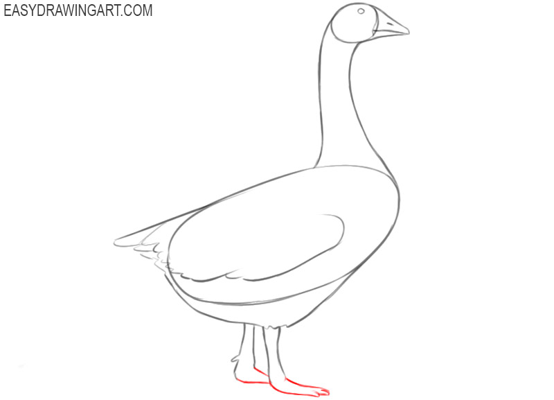 goose drawing step by step 