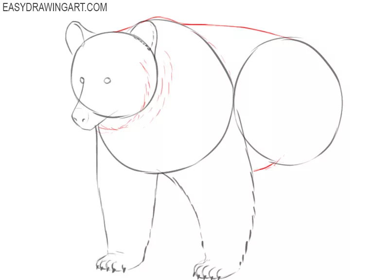 grizzly drawing images 