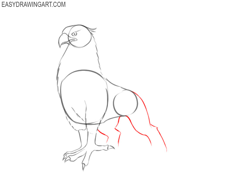 guide on how to draw a griffin