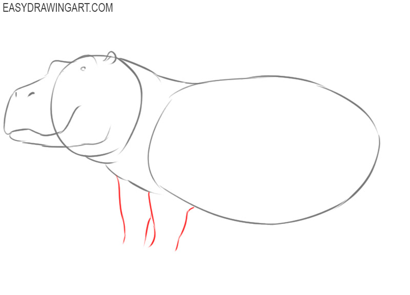 hippopotamus drawing images 