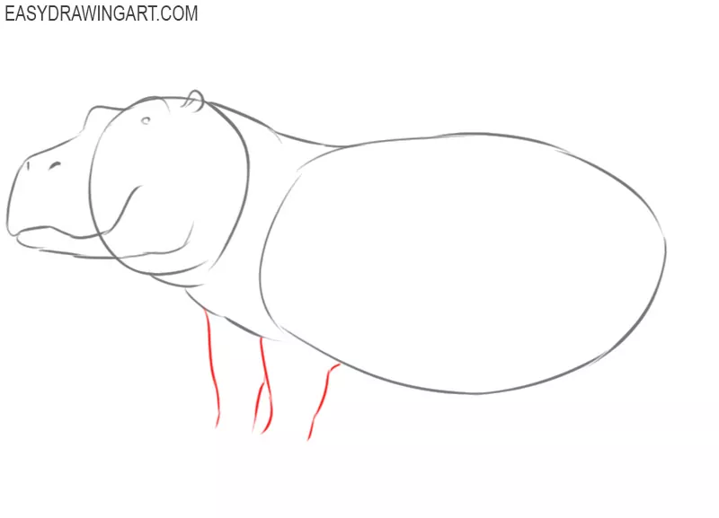 How to Draw a Hippo (Step by Step Pictures) | Cool2bKids | Basteln mit  kindern, Malen, Zeichnen